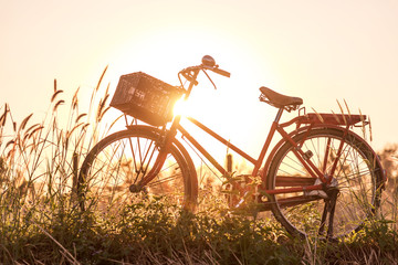 beautiful red vintage bicycle in grass field at sunset