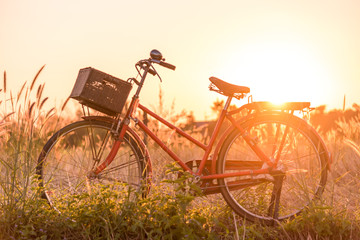 beautiful red vintage bicycle in grass field at sunset