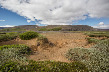 Iceland nature scenery with green low vegetation and sand in foreground and mountain in background. Nordic summer sunny landscape.