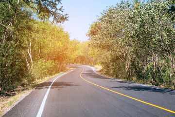 Fototapeta premium Travel road on summer Country side,Road with trees beside Concept