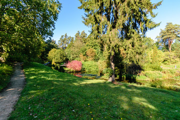 Obraz premium słoneczny dzień w letnim parku