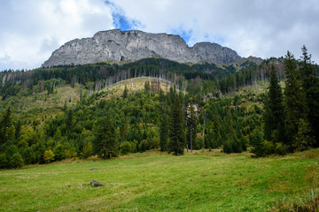 Fototapeta na wymiar slovakian carpathian mountains in autumn with green forests