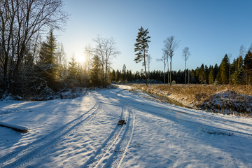 Obraz premium car tire tracks on winter road