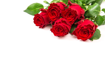 Obraz premium Red rose flowers bouquet white background