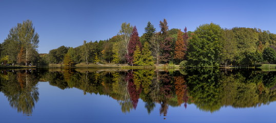 Atatürk Arboretumu Bahcekoy Sariyer istanbul, the wonder of nature , spring colors , a paradise corner in istanbul