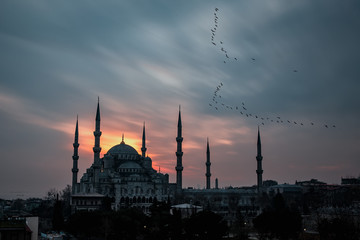 Fototapeta premium Istanbul, Turkey. Sultan Ahmet Camii named Blue Mosque turkish islamic landmark with six minarets, main attraction of the city.
