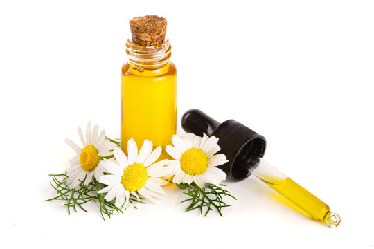 bottle with essential oil and fresh chamomile flowers isolated on white background