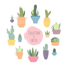 Collection of cactus. Vector set with cute cactuses and succulents in flowerpots. Illustration with home plants in scandinavian style.