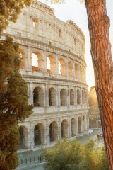Fototapeta premium Colosseum in Rome. Italy. Sunny.
