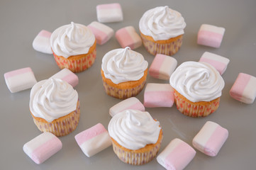 Gourmet cupcakes for holiday