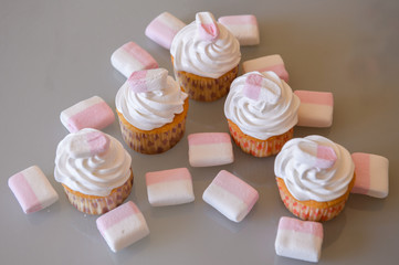 Gourmet cupcakes for holiday