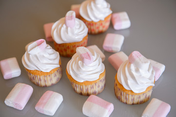 Gourmet cupcakes for holiday
