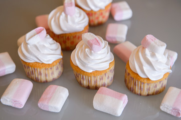 Gourmet cupcakes for holiday