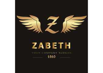 letter Z logo Template for your company