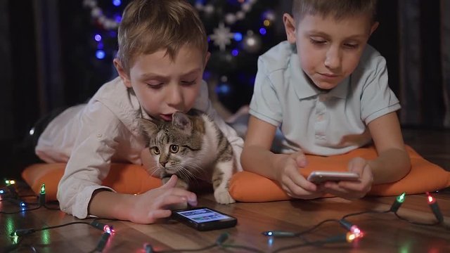 Close up of two young guys lying on orange pillows on the floor at home with their cat and playing games in their phones. Christmas, new year, evening, winter