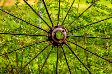 Antique metal spoke wheel in bush