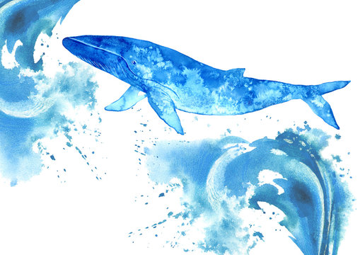 Big Blue Whale and water wave.Watercolor hand drawn illustration.Underwater animal art.