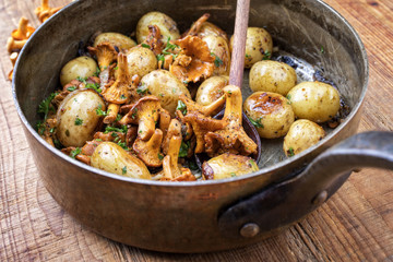 Fresh fried chanterelle with potatoes as top view in a casserole