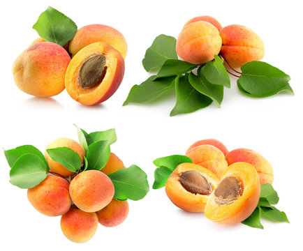 collection of apricots isolated on a white background