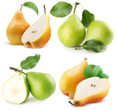 collection of pears isolated on a white background