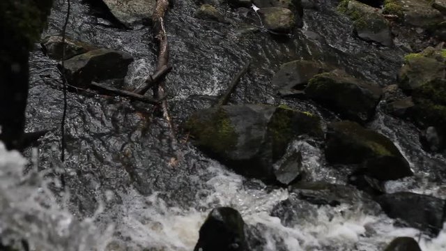 Kaltes Quellwasser rast die Felsen hinab