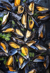 Traditional barbecue Italian blue mussel in white wine as top view on a tray