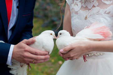 Bride and groom holding white doves in hands