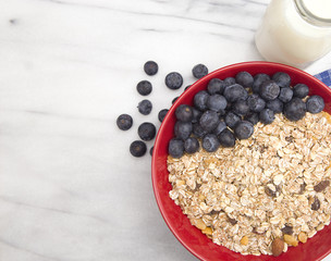 Healthy Breakfast of Organic Muesli and Fresh Blueberries in a Large Red Bowl
