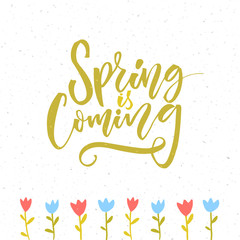 Spring is coming. Inspirational quote about spring season start. Modern calligraphy and hand drawn tulip flowers.