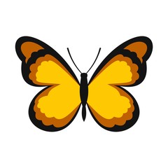 Insect butterfly with pattern on wings icon