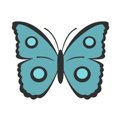 Butterfly with circles on wings icon, flat style