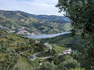 Vale do Douro, Portugal