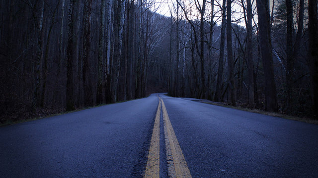 Dark and Depressing Street Photography of a Road in the Empty Forest