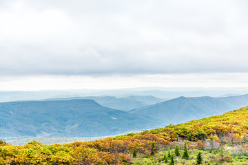 Morning cloudy sunrise with blue sky and golden yellow orange autumn foliage in Dolly Sods, Bear Rocks, West Virginia with overlook of mountain valley, clouds