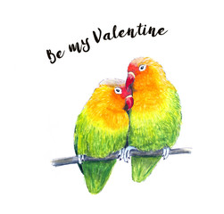 Two hand sketched Lovebirds. Valentine card