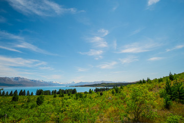 Fototapeta na wymiar Beautiful scene of Mt Cook in summer beside the lake with green tree and blue sky. New Zealand