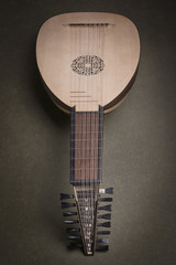 Lute of the 16th century