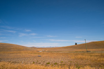 Obraz premium Beautiful scene of yellow crop field in summer with blue sky. New Zealand