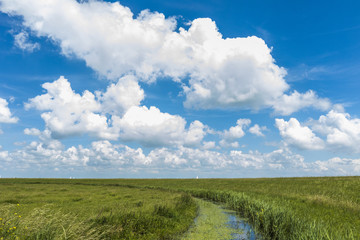 Scenic view of cloudscape over grassy landscape