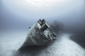 Kittiwake (BWI)