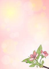 Blooming cherry close-up. Spring background. Nature blooming background. Vector Illustration .Eps 10.