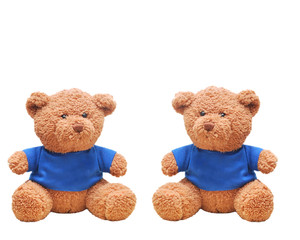 Brown teddy bear wear blue shirt isolated with white background