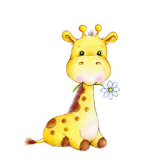 Cute giraffe with flower © ciumac