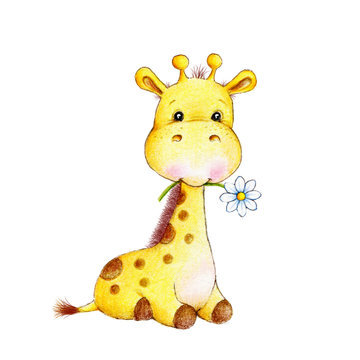 Cute giraffe with flower