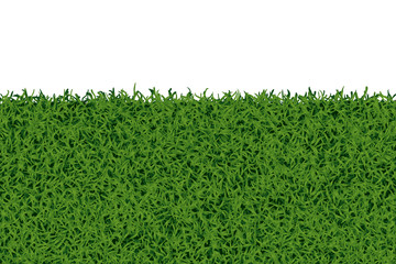 Grass ground background