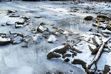 frozen creek reflecting trees