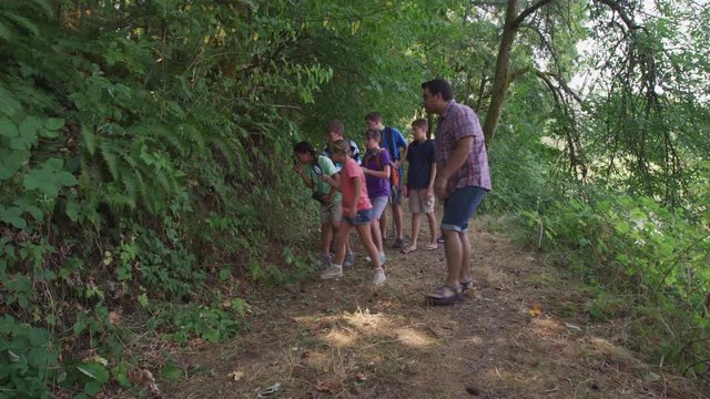 Kids at summer camp going on a nature hike