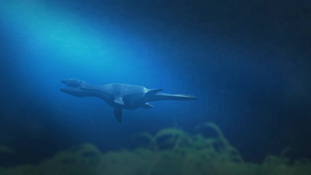 Simolestes - an extinct species of plesiosaur swims in late Jurassic ocean - Side View