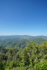 Fototapeta na wymiar Nature view mountain, forest and blue sky