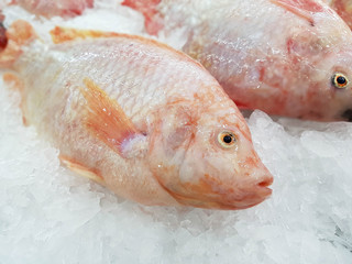 Fresh fish on ice in the market